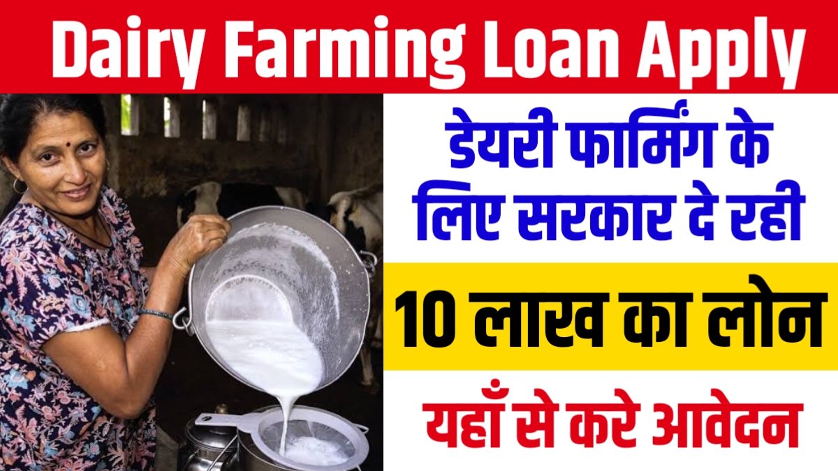 Dairy Farming Loan Apply: डेयरी फार्मिंग के लिए सरकार दे रही 10 लाख का लोन, यहां से करे आवेदन
